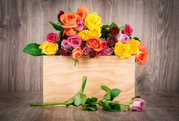 Färgglada rosor i rutan — Stockfoto