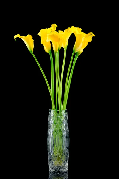 Bouquet de callas jaunes — Photo