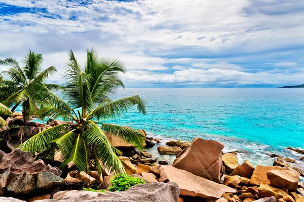 Plage tropicale. Les Seychelles — Photo