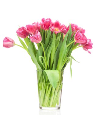 Cam vazo içinde Pembe Laleler