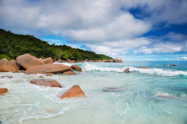 Ağaçları ile güzel bir plaj