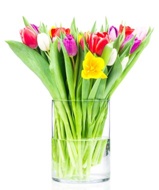 Cam vazo içinde parlak laleler