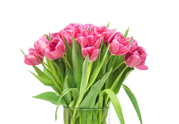 Pink tulips in glass vase — Stock Photo, Image