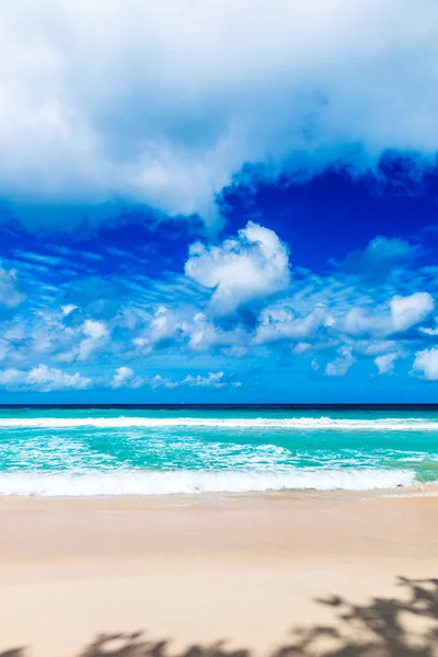 Tropical summer beach — Stock Photo, Image