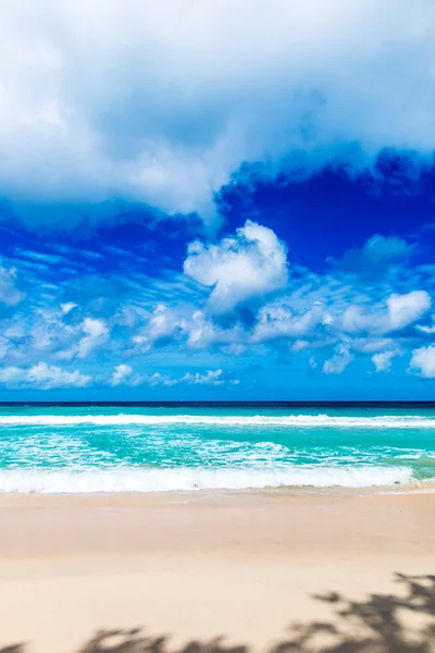 Plage tropicale d'été — Photo