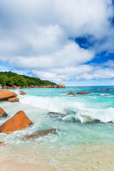 Praia bonita com árvores — Fotografia de Stock