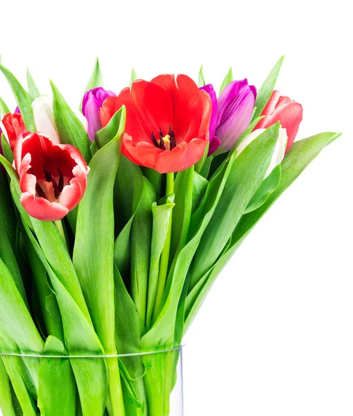 Světlé tulipány v skleněná váza — Stock fotografie