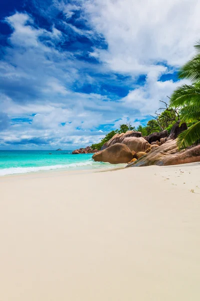 Hermosa playa con palmeras —  Fotos de Stock