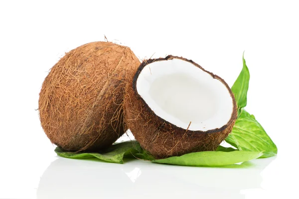 Cocco e mezza noce di cocco — Foto Stock