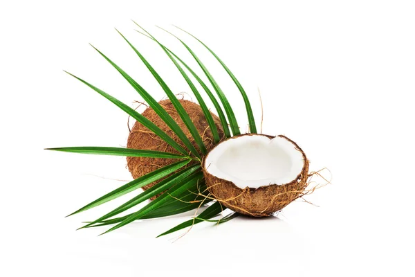 Cocco e mezza noce di cocco — Foto Stock