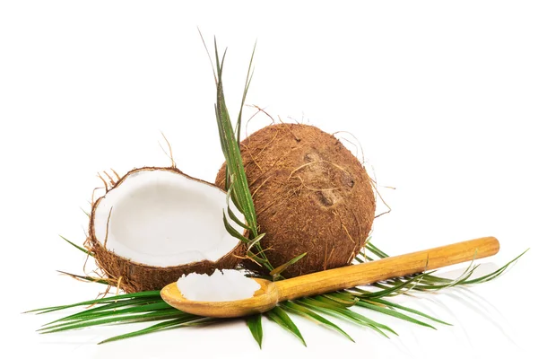 Cocco e mezza noce di cocco — Foto Stock