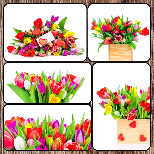 Collage con tulipani freschi colorati — Foto Stock