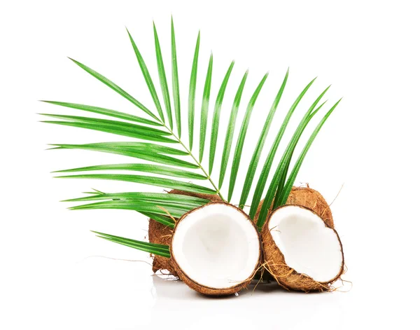 Cocco e metà noce di cocco — Foto Stock