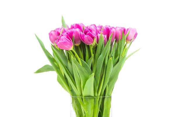 Розовые тюльпаны в стеклянной вазе — стоковое фото