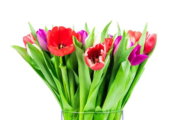 Jasny tulipany w wazonie szkła — Zdjęcie stockowe