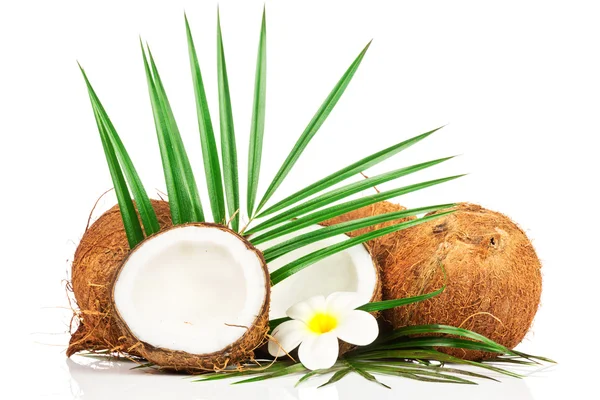 Kokosnötter och halvor kokos — Stockfoto