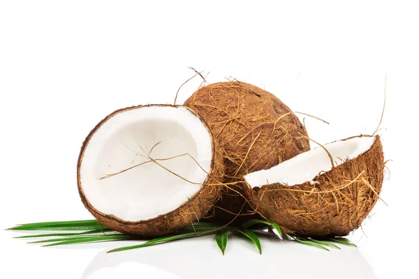 Kokos och halvor kokos — Stockfoto