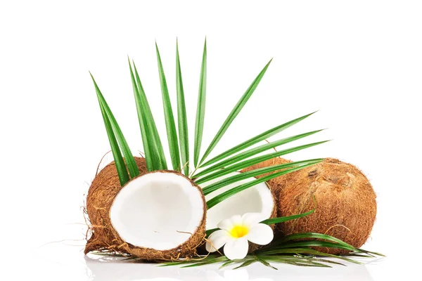 Orzechy kokosowe i połówki kokosowe — Zdjęcie stockowe