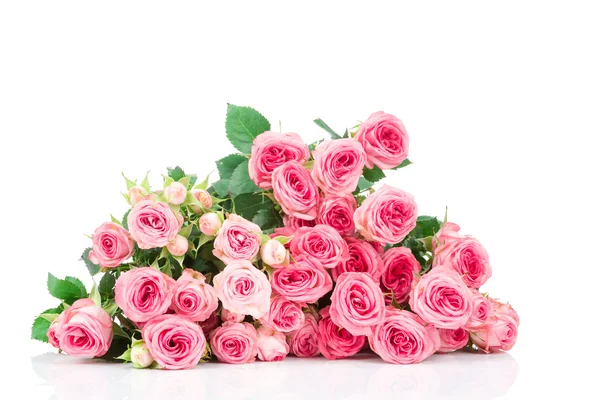 Strauß frischer Rosen — Stockfoto