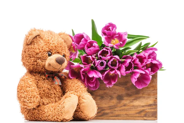 Tulipanes rosados y oso de peluche — Foto de Stock