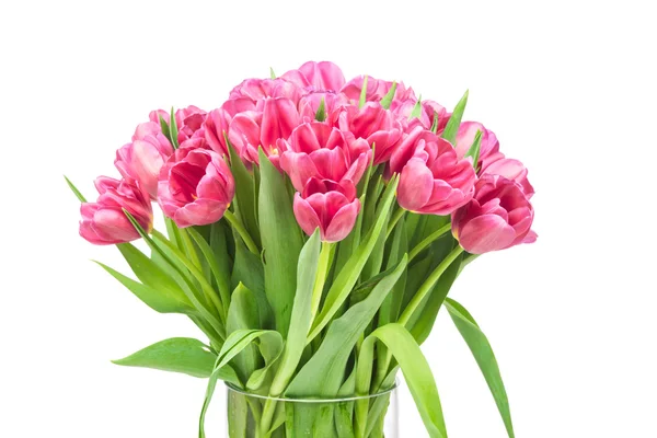 Tulipani rosa in vaso di vetro — Foto Stock