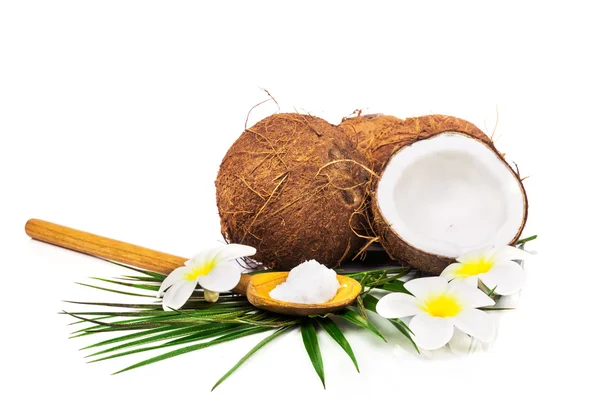 Kokosnoten en de helft van de kokosnoot — Stockfoto