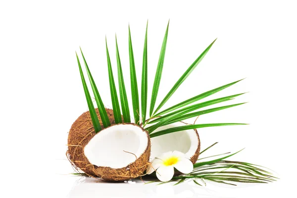 Kokos en helften van kokosnoot — Stockfoto