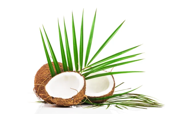 Kokos a půlky kokosových — Stock fotografie
