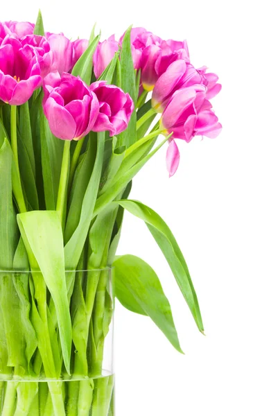 Розовые тюльпаны в стеклянной вазе — стоковое фото