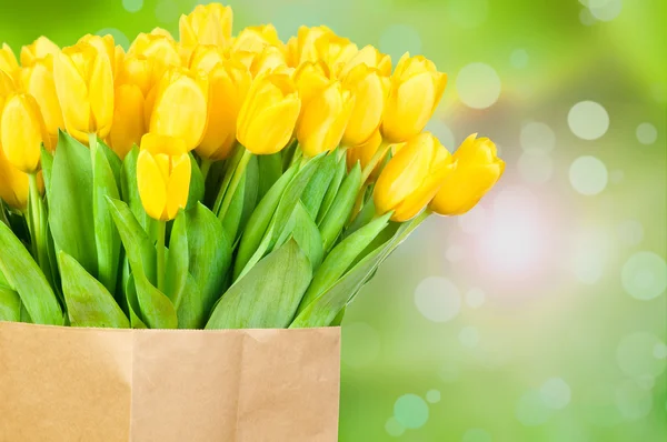 Frische bunte Tulpen — Stockfoto