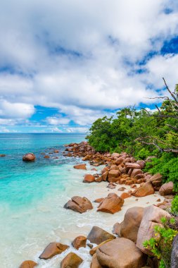 Seyşel Adaları tropikal plaj