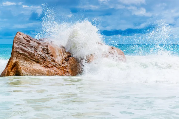 Stenar på tropical beach — Stockfoto