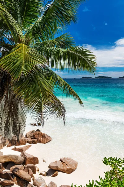 Seyşel Adaları tropikal plaj — Stok fotoğraf