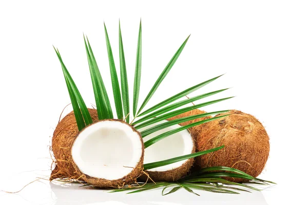 Kokosnoten met groene palm verlaat — Stockfoto