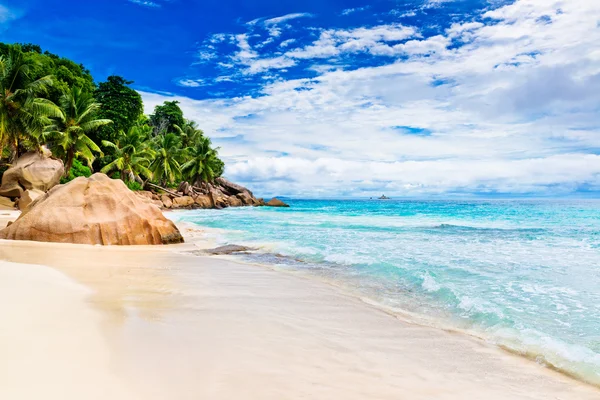 Plage tropicale des Seychelles — Photo