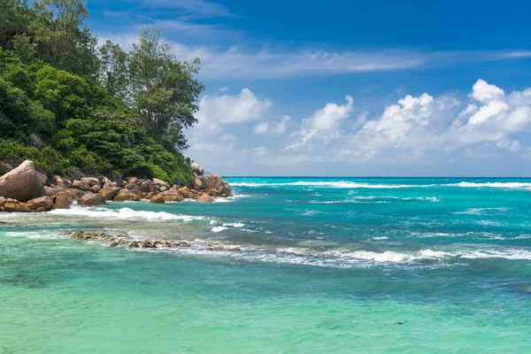 Тропический пляж на Сейшелах — стоковое фото