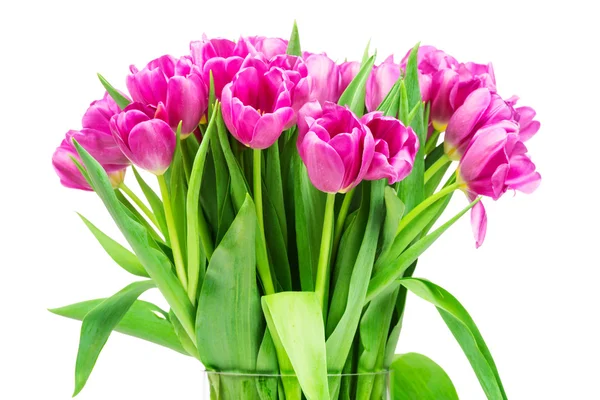 Boeket roze tulpen — Stockfoto