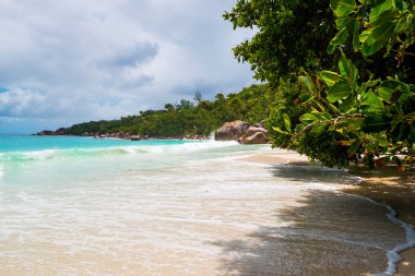Güzel tropikal plaj