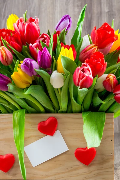 Tulipes colorées dans la boîte — Photo