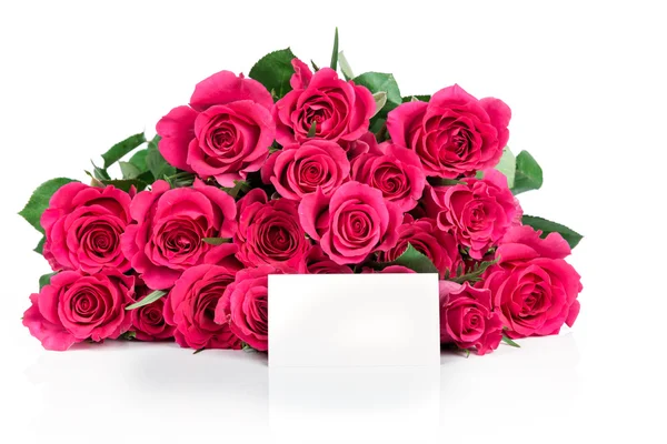 Rose su sfondo bianco — Foto Stock