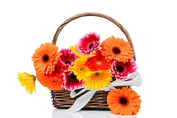 Gerber flowers in the wicker — Stock Photo, Image