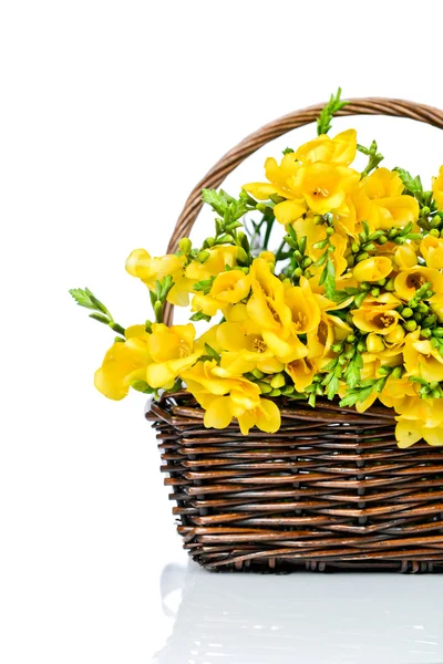 黄色のフリージアの花、枝編み細工品 — ストック写真