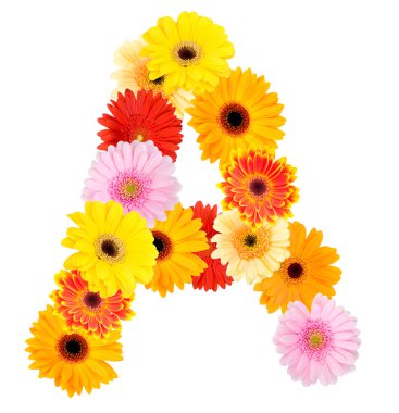 A harfi papatya çiçek yaptı