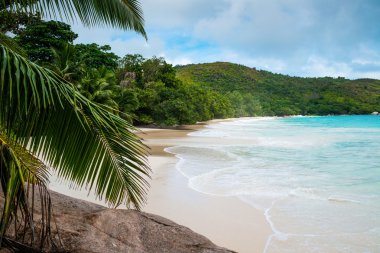 Güzel tropikal plaj