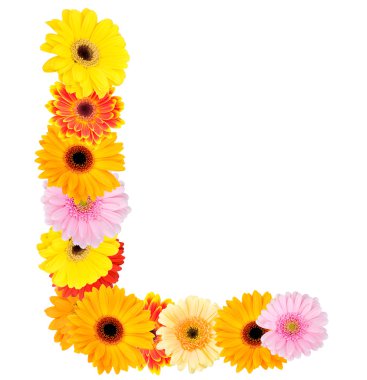 L harfi papatya çiçek yaptı