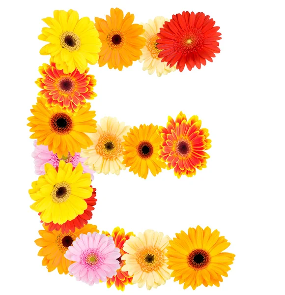 Letter E made of daisy flowers — Stock Photo, Image