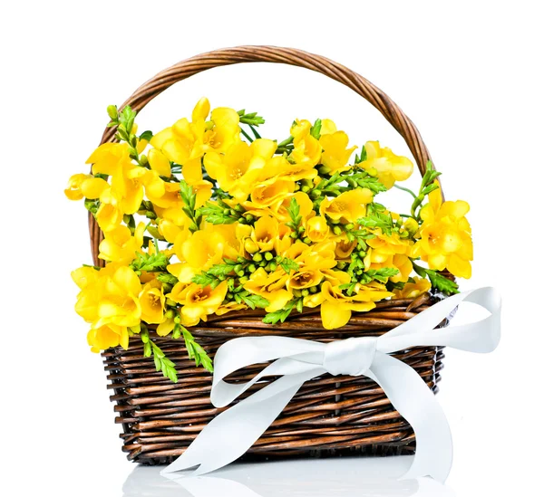 Yellow freesia flowers in the wicker — Stock Photo, Image