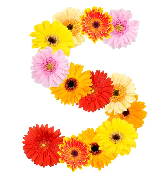 Літера S з ромашкових квітів — стокове фото