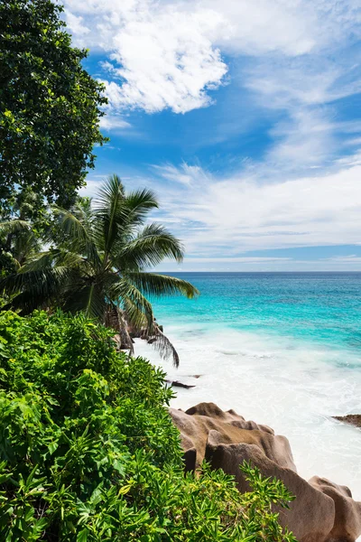 Schöner tropischer Strand — Stockfoto