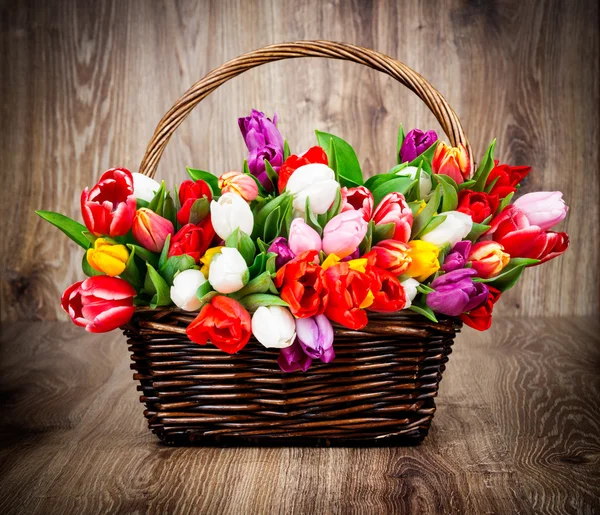 Tulpen in der Korbflechterei — Stockfoto